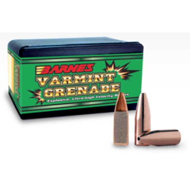 Barnes Varmint Grenade HPFB (x100) - .20 cal (.204) 32gr (Lead Free)