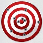 LOAD DEVELOPMENT BUNDLE - Target .223 Cal