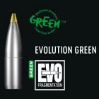 RWS Evolution Green 6.5mm 93gr X50