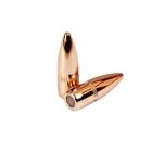 PPU Bullets - .224 55G BT FMJ (x100)